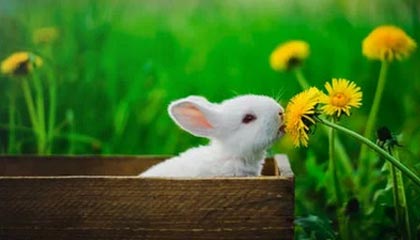 京山伴游，定制QQ：3494206190微信：act1322